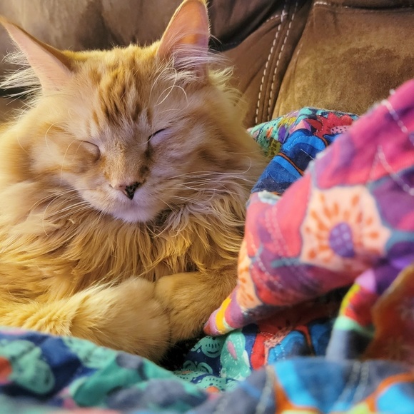 Meet your Posher, Alison - Picture 1 of 1